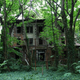 Illustration for article titled This Ghostly, Abandoned NYC Island Could Become a Special Needs School